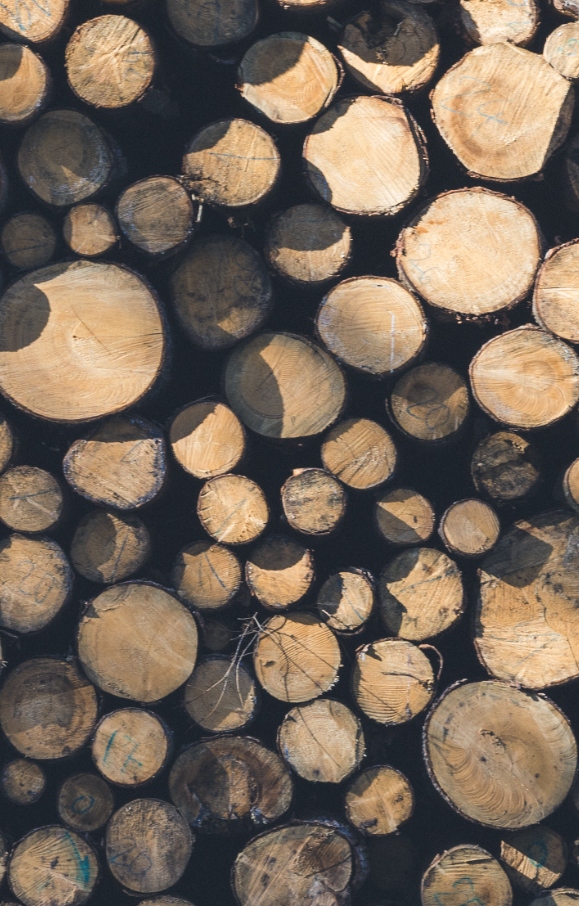 EDN Timber Application - Eco-Friendly Timber Treatment